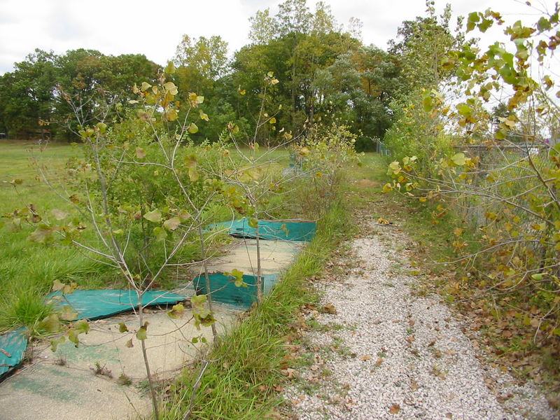 Mr. Vs Tees Driving Range - October 2002 Photo (newer photo)